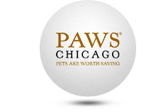 Olympia Moving PAWS Affiliation